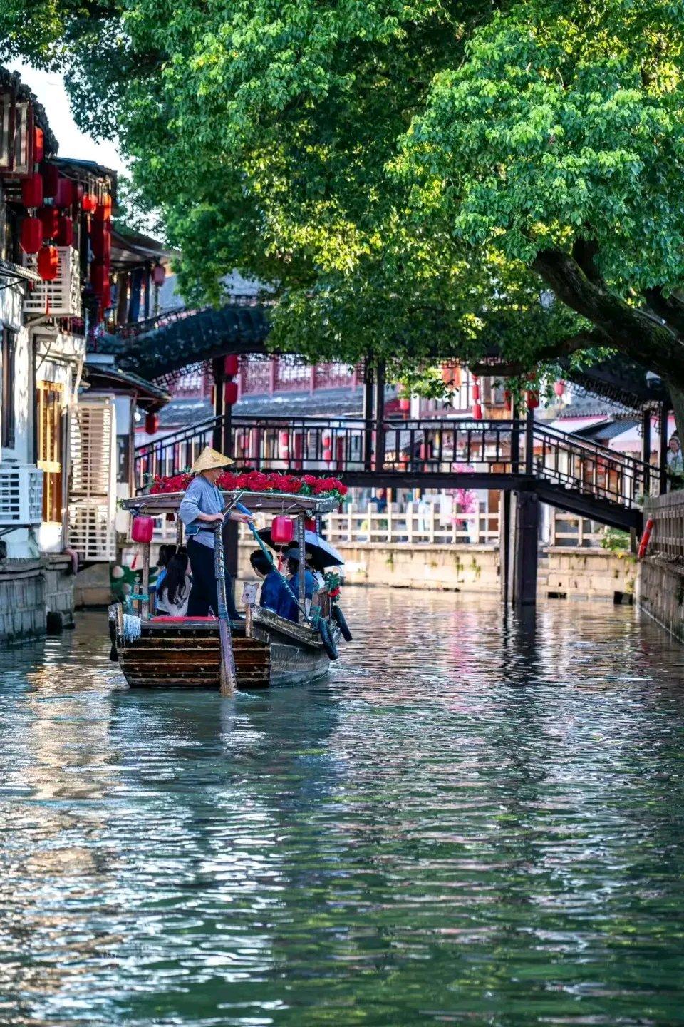 朱家角古镇最近火出圈了！“果冻河”奇观太惊艳，河水清亮，水草摇曳、游鱼可数，随手