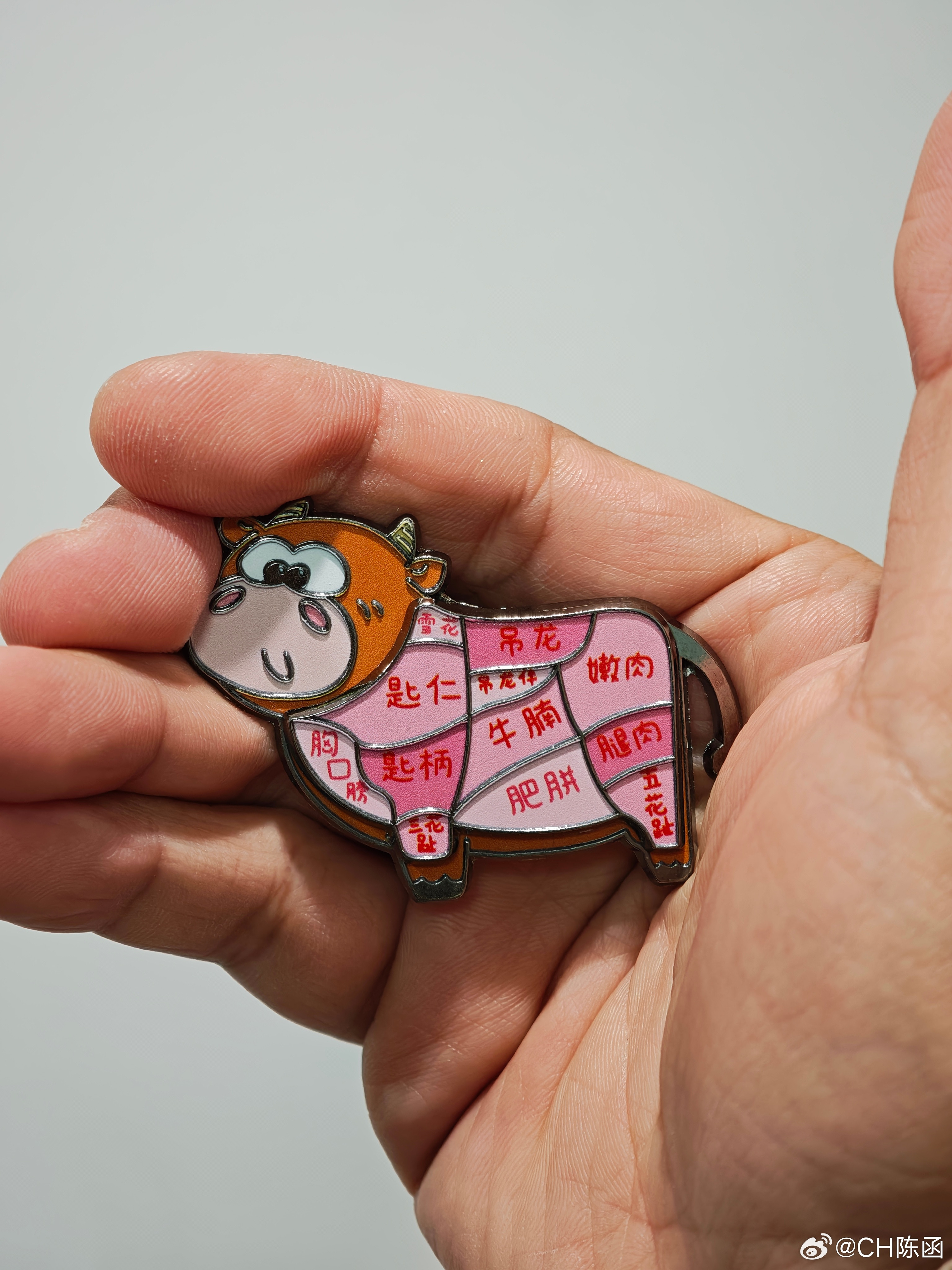 买了个牛肉部位冰箱贴，这些知识就应该列入潮汕义务教育，和外地的朋友吃牛肉火锅，总