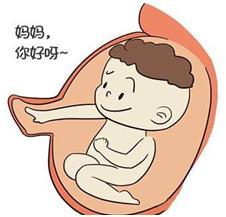 甜蜜的回忆: 你的宝宝第一次胎动还记得吗? 是怀孕第几个月?