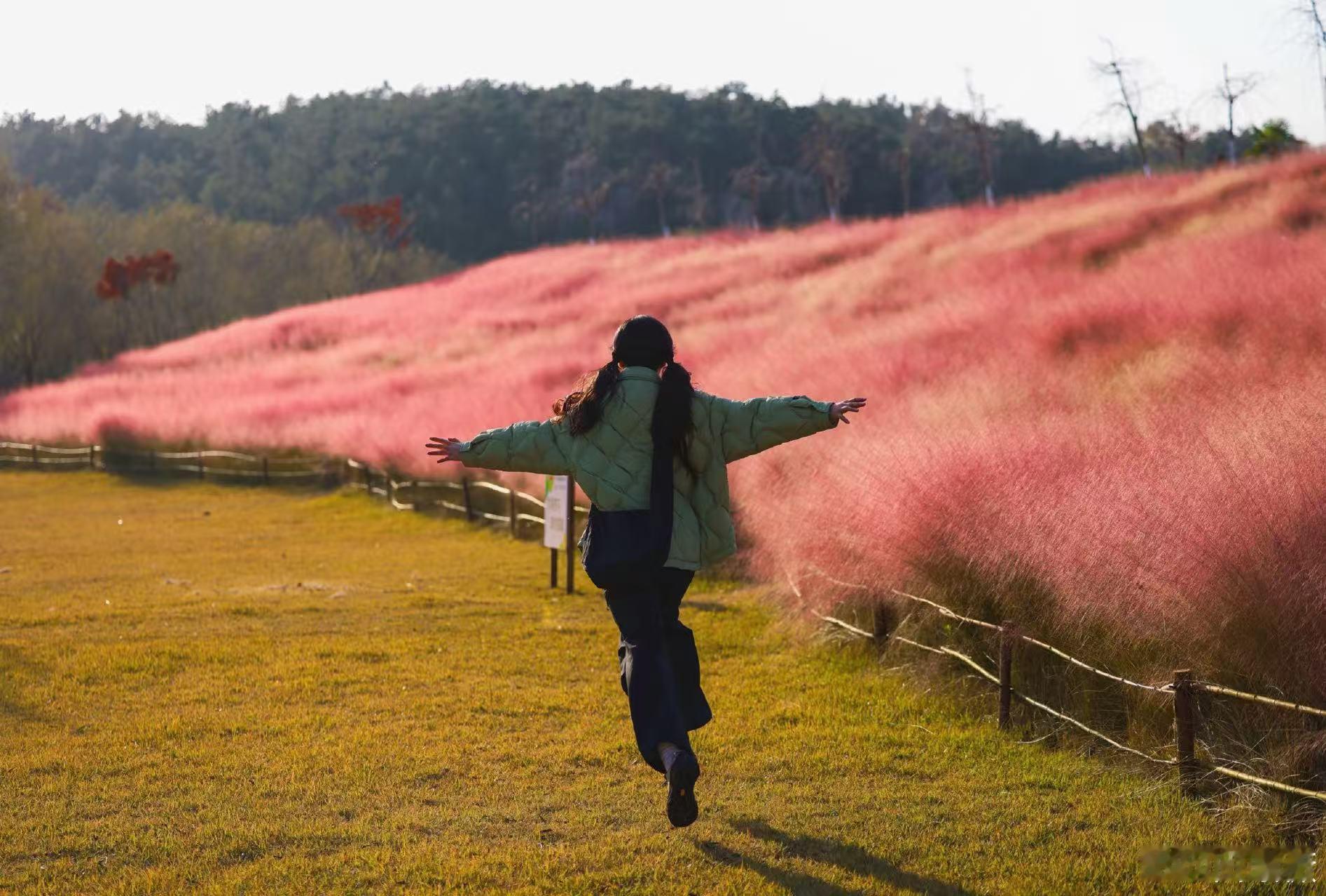 田曦薇发博分享秋游随拍，明媚又可爱的小田啊，好想一起去秋游呢