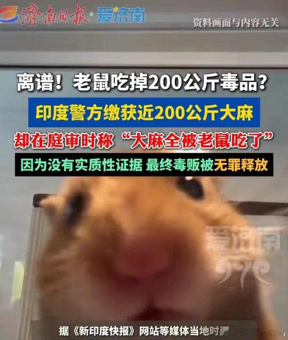 离谱！老鼠吃掉200公斤毒品？印度警方缴获近200公斤大麻。却在庭审时称"大麻全