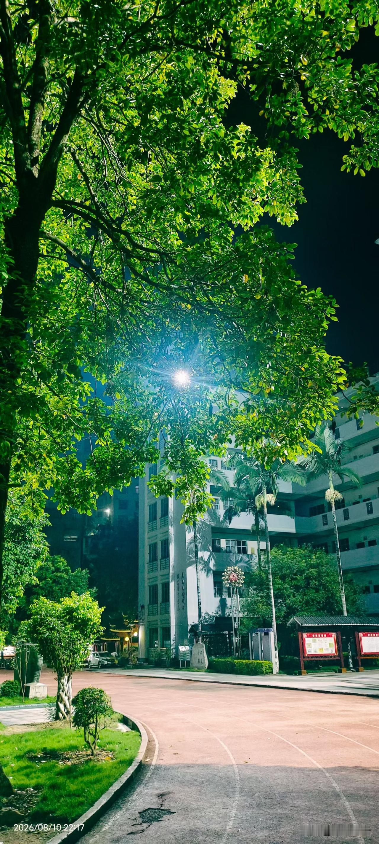 世界公认的10个“免费良医”，个个都比吃药管用：1. 双脚是发动机——不用