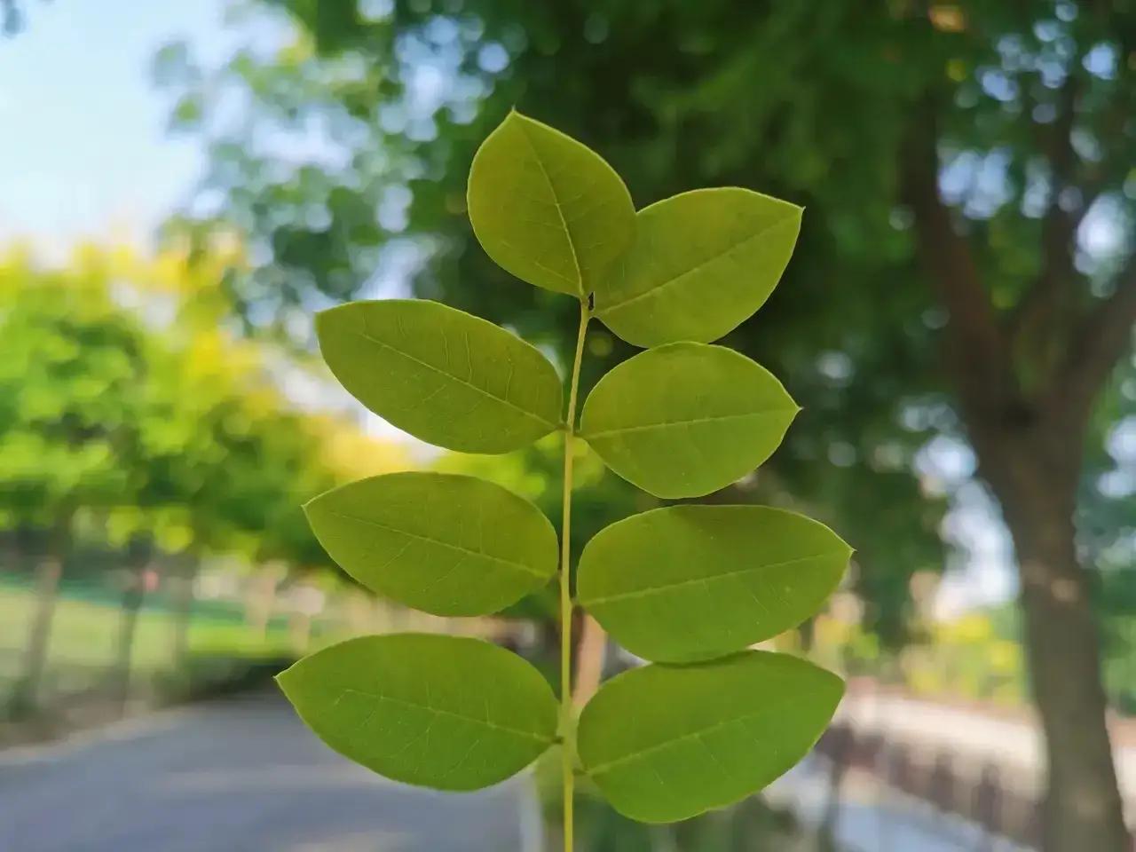 读到一位医生的肺腑之言：“只要你快乐，只要你知足，只要你不拘小节，只要你