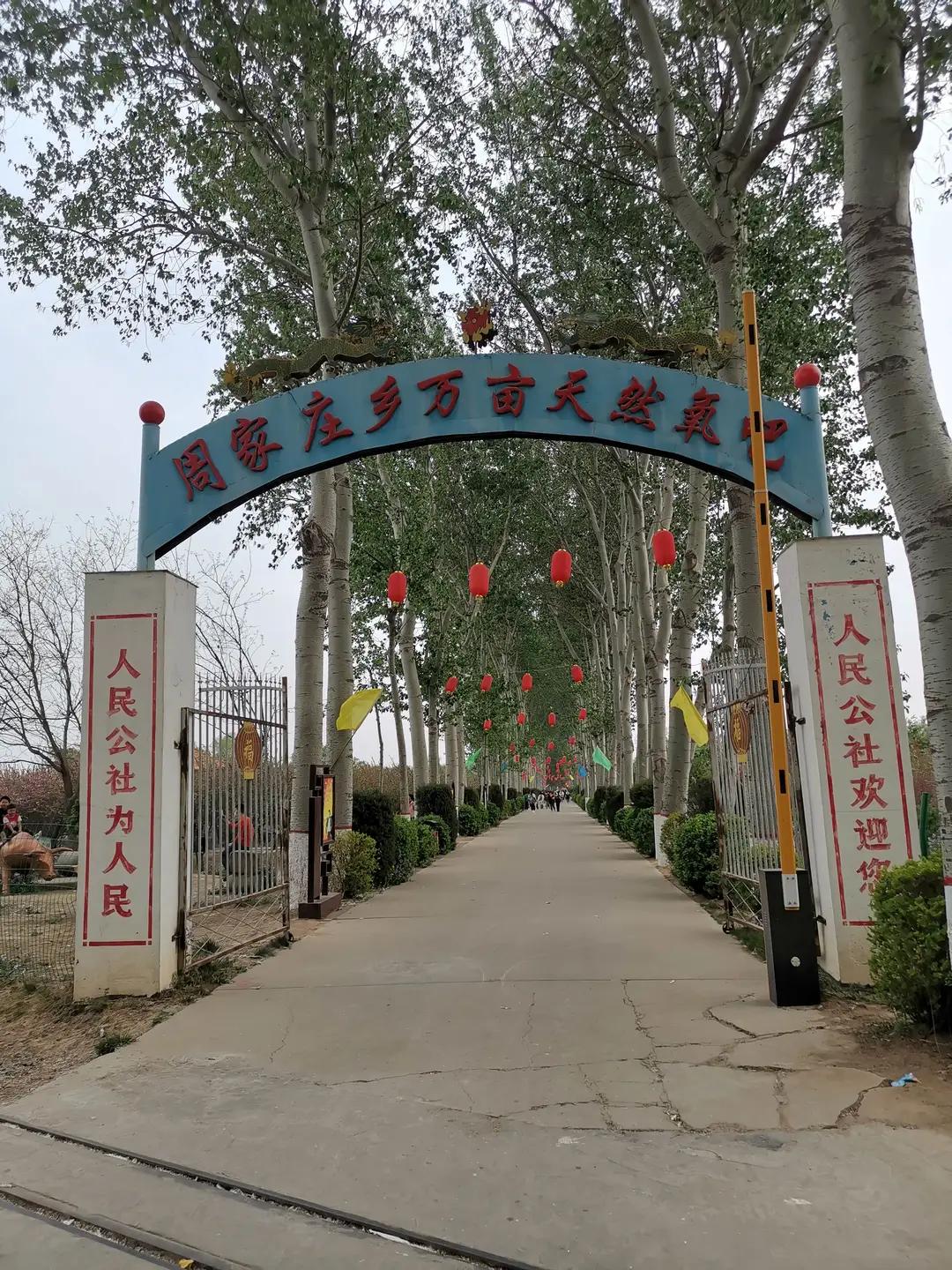 河北晋州·周家庄人民公社是全国唯一自1958年延续至今、未曾解体的人民公社，属乡