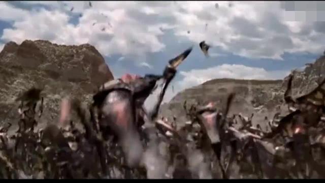 7888436899845072770.jpg?id=0