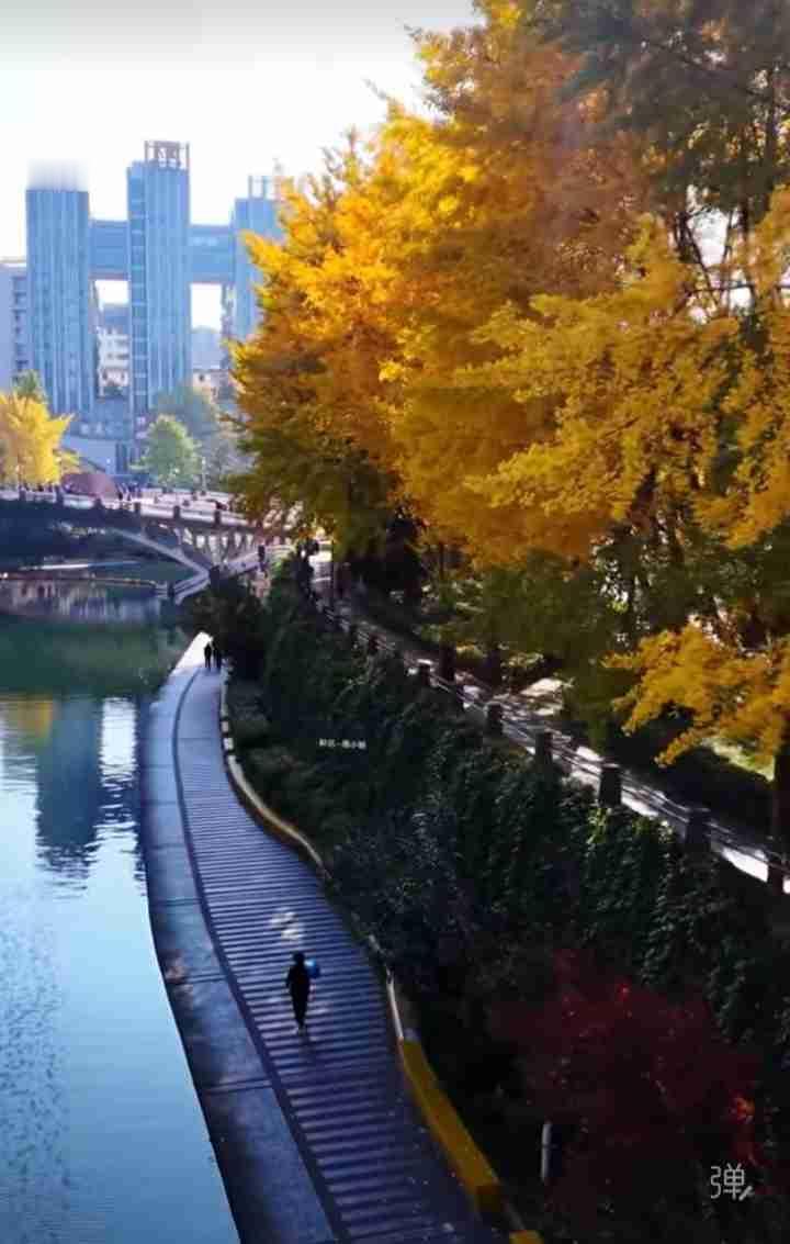 人真的有人兽两面吗？刚才，一位小妹妹给我讲述了，她儿时补课的一位老师不配为师，素