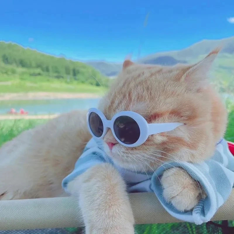 遇见某个人，不是偶然，而是必然，这段感情的残酷之处就在于你们的相遇，是前世的执念