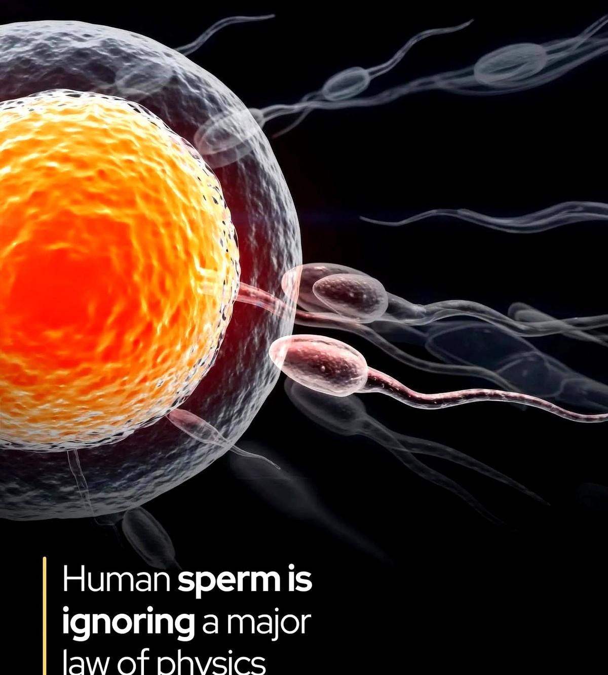 活了这么多年，才知道牛顿定律居然有个“豁免区”。而拿到这张“豁免卡”的，竟然是