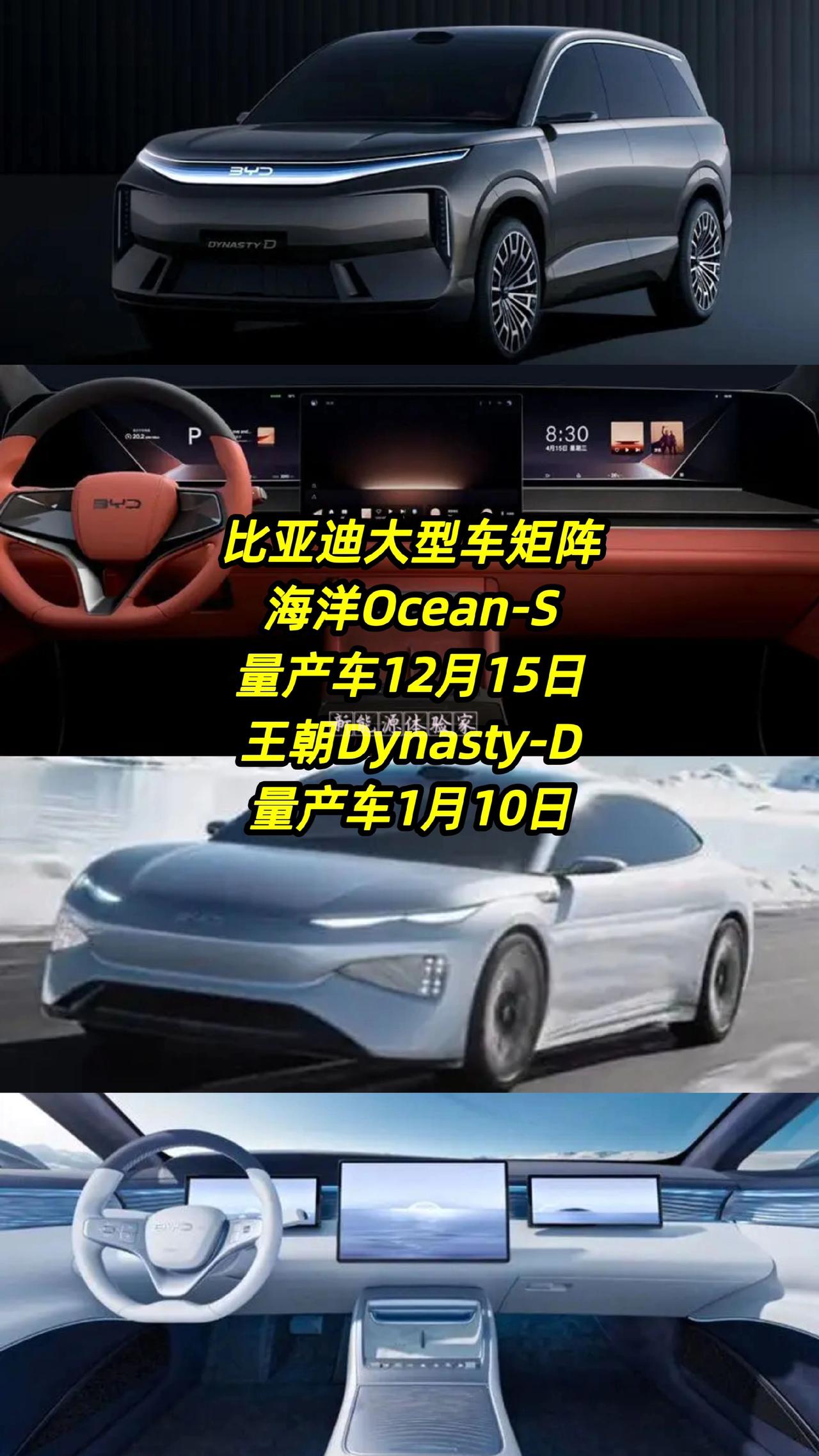 比亚迪大型车矩阵开启海洋Ocean-S量产车命名12月15日王朝Dynas