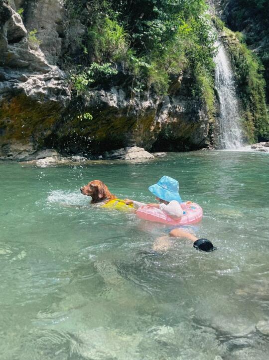 重庆出发2小时！带狗狗去水银河玩水啦！！！