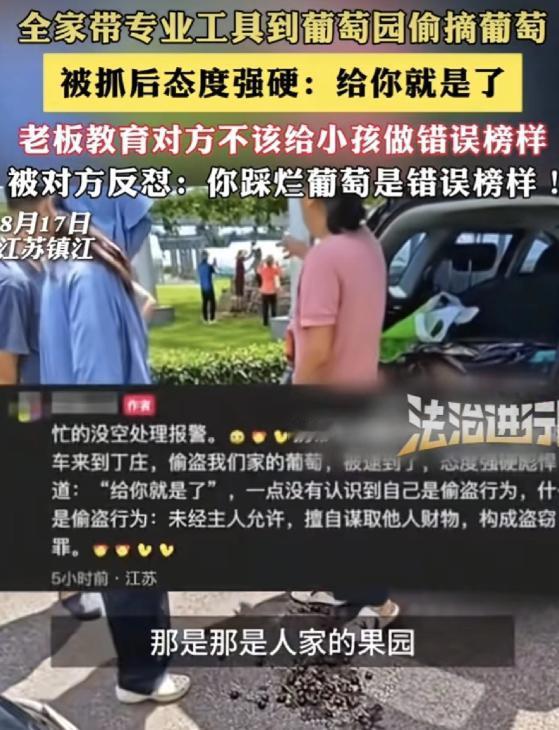 “见过丢人的，没见过一家子组团儿出来丢人的！”，江苏镇江，有这么一家人，开着车专