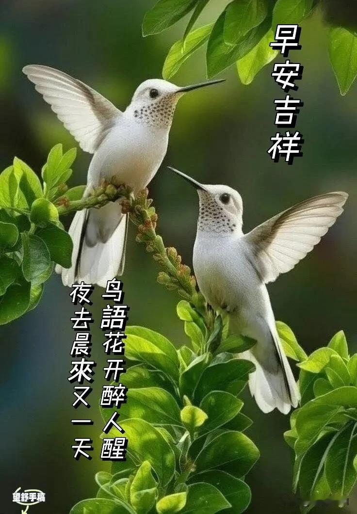 春风拂过，万物温柔，愿你晨起有微笑，所遇皆美好，早安。