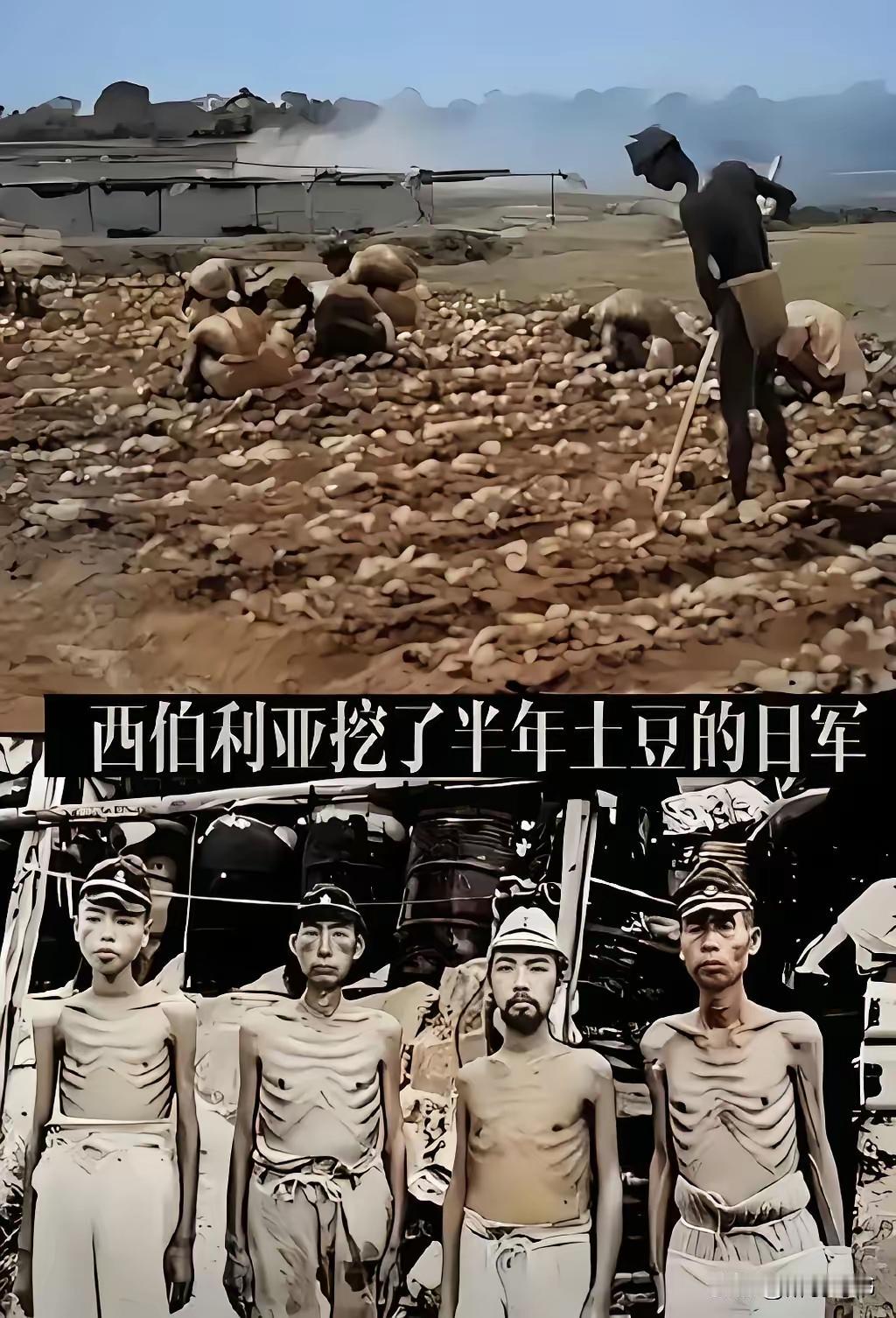 这观点挺带劲啊！1948年苏联俘虏约60万日本关东军，把他们押到西伯利亚当苦役。