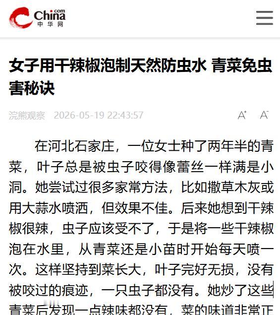 草木灰、洗衣粉水都试了，石家庄女子的阳台种菜路只剩一地残叶。谁承想，被呛得打喷嚏