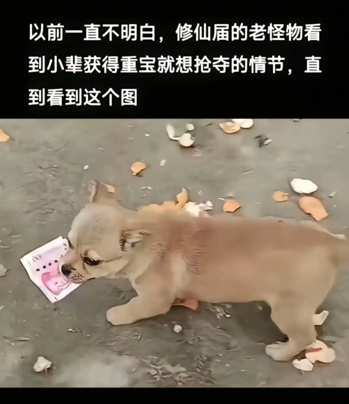 以前一直不明白，修仙届的老怪物看到小辈获得重宝就想抢夺的情节，直到看到这个图​