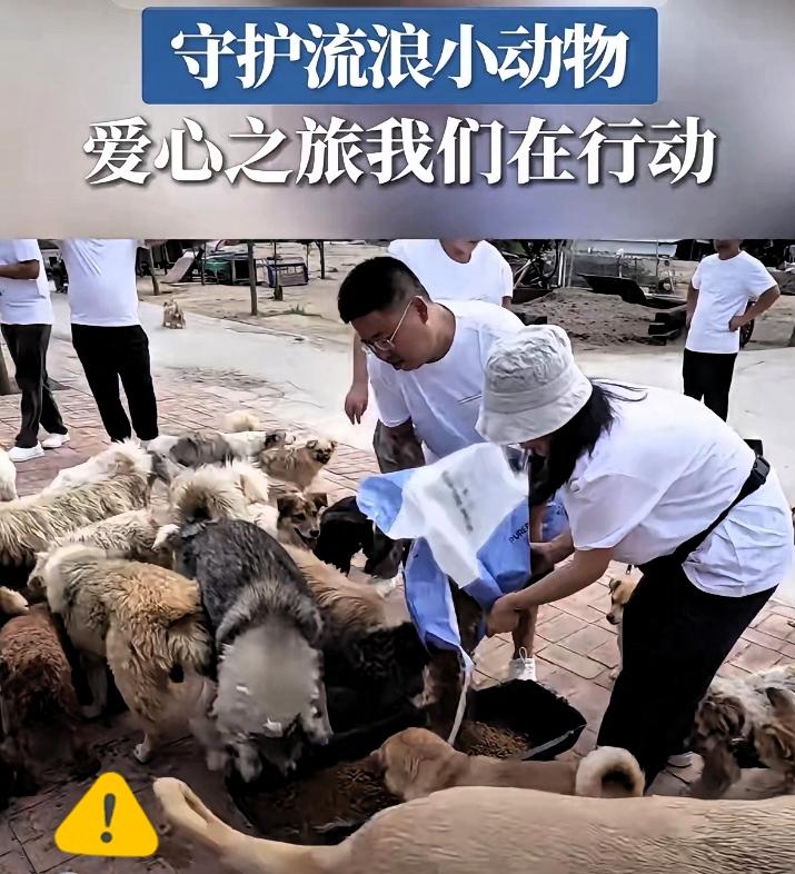 刚去查了一下。鸿星尔克这波操作。这不查不知道，一查还真让人感慨，原来它家三年前就