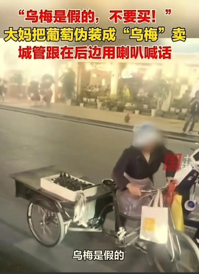 “这个城管火了！”浙江乌镇景区里，一大妈为了多赚钱，把葡萄伪装成“乌梅”售卖，而