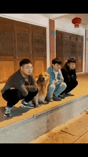 动作出奇的一致，都是单身的修狗。