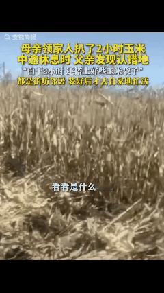扒个玉米地还火了！这下好了，全国网友都知道你家扒错邻居家的玉米地了。薛女士一家热