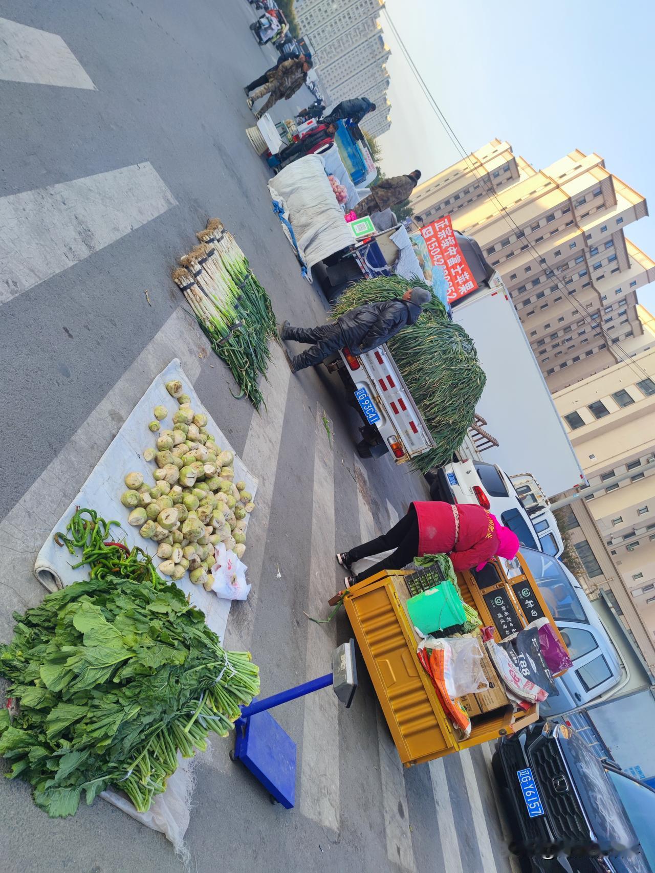 东北这物价确实低,东北大城市的锦州芥菜嘎达5毛钱一斤,线辣椒2块钱3斤,大葱3块