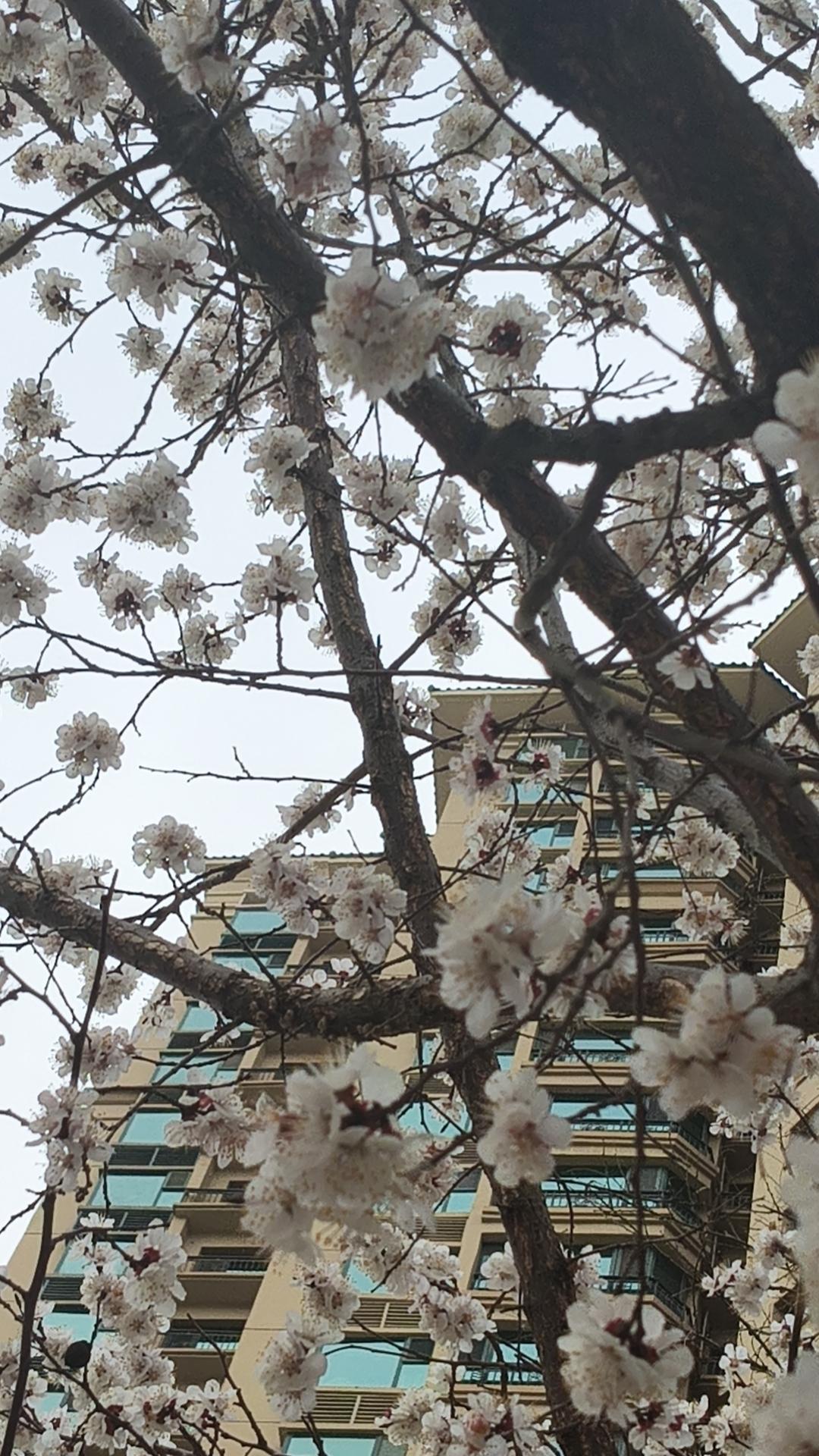 越是难熬越要慢下来，事缓则圆，终有出头之日人生在世，谁都有撑不住的时候。