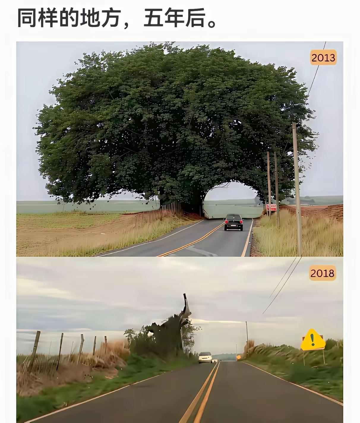 真的可惜了，一场台风过后，打卡的景点没了，大家知道这是哪里吗？