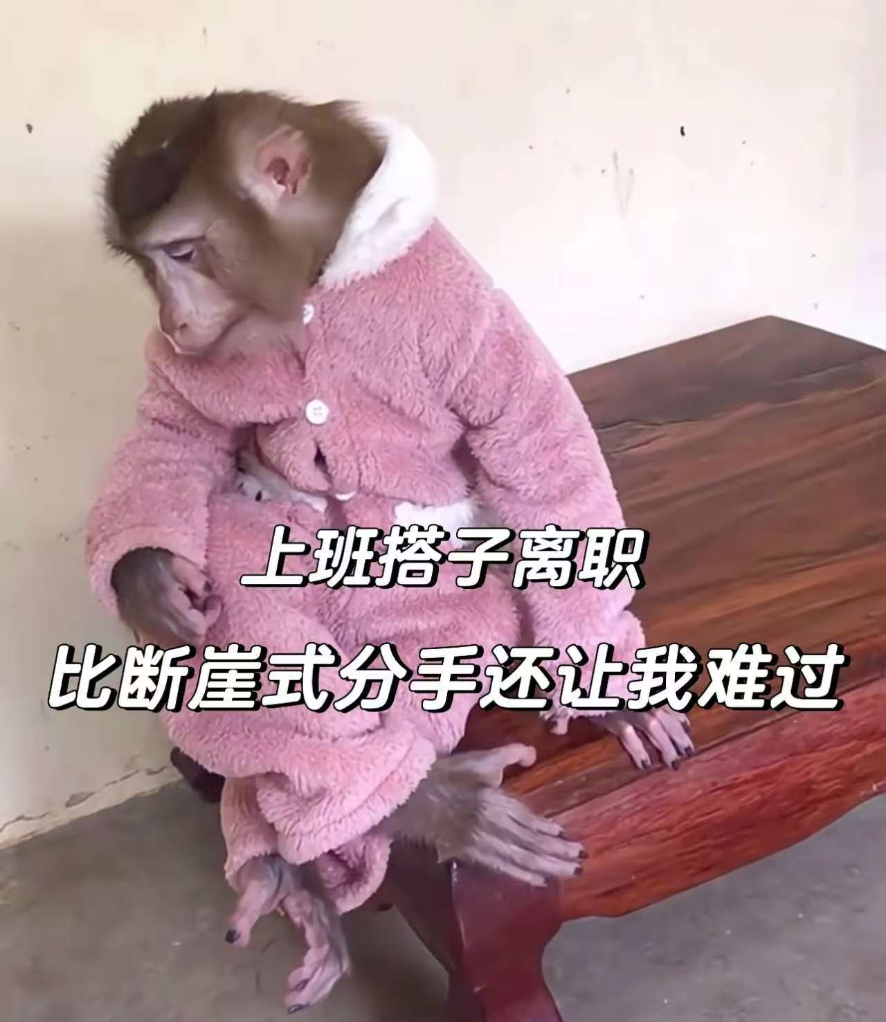 上班搭子离职后的我[哭哭]​​​
