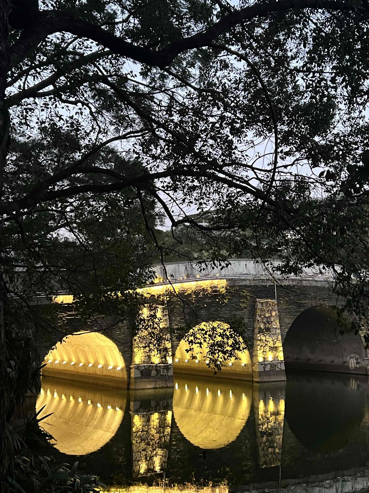 为什么现在的人，为了安静，买房都买在了郊区？实际上，住过的人，才知道，睡一个