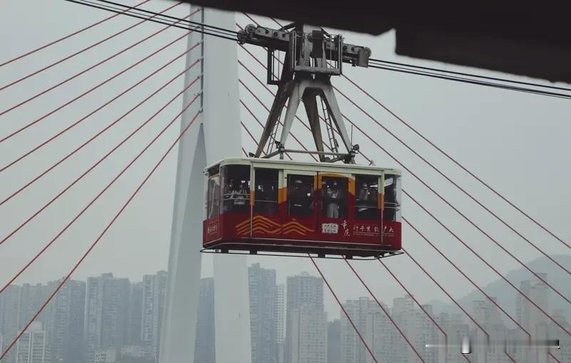 暑假来重庆旅游，那体验感真绝了，高温都拦不住游客的热情。刚进入七月，重庆就开始挂