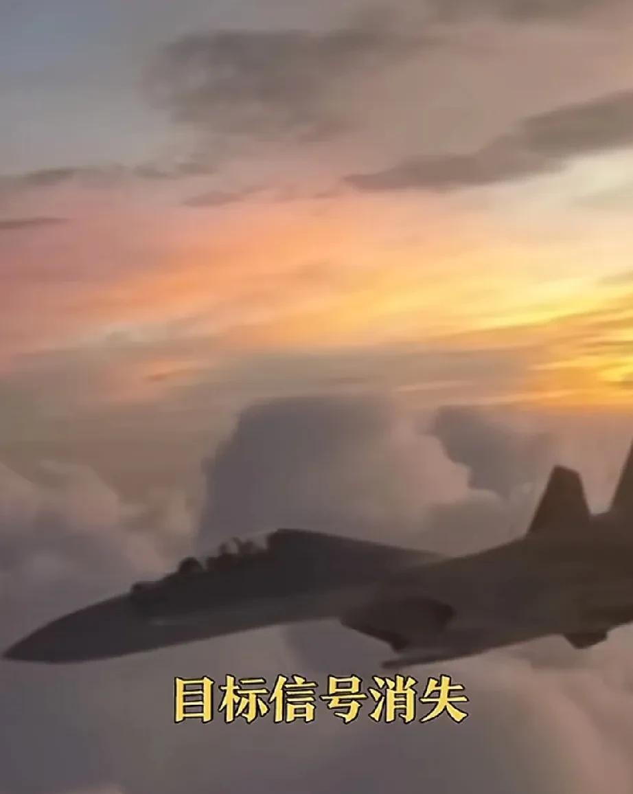 咱妈把蚊子拍了让我们安心睡觉，那有人就不安心了。央妈5月29日发布一个歼16飞