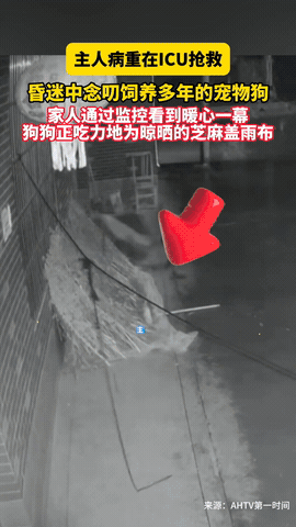 万物皆有灵性！9月5日，安徽阜阳，一女子因病送进医院，结果抢救过程中，她还在操心