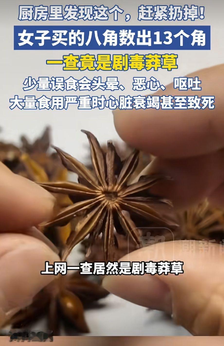 浙江一女子买八角回家做菜，刚准备下锅时，儿子一句话让她停下了手：“妈妈，这个八角