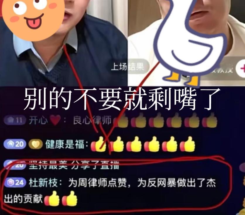 开封换孩子案件里的杜大娘身边都是啥人？首先要看杜大娘是个啥东西，你看杜大娘给代理