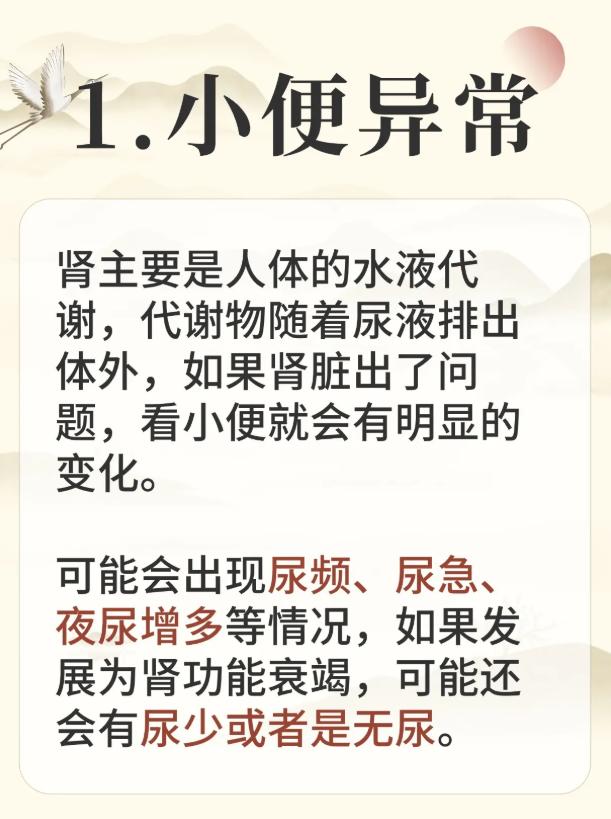 肾脏好不好，看这4个早期表现就知道