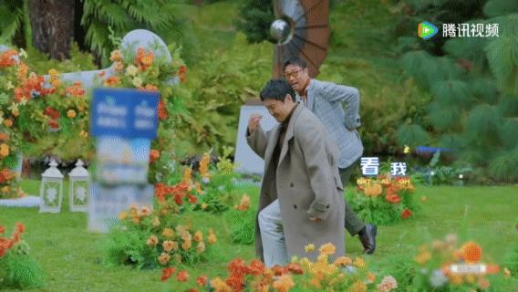 沈腾脑袋里的逻辑，简直让人哭笑不得，马拉松和牵牛花的关系哪里能这么解释，笑喷了！