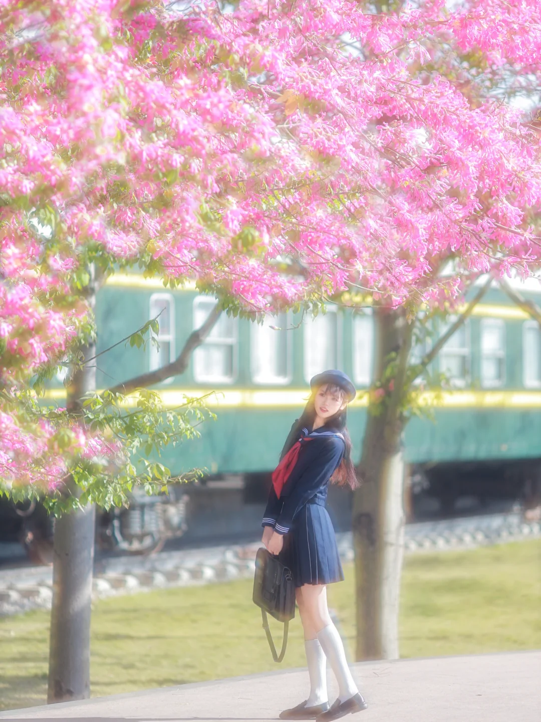 放学了｜日系jk异木棉花树电影氛围火车拍照