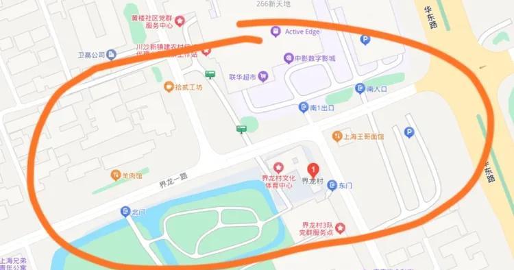 未成为上海浦东川沙界龙村的上门女婿，师爷我后悔得肠子都青了！放眼上海6000多平