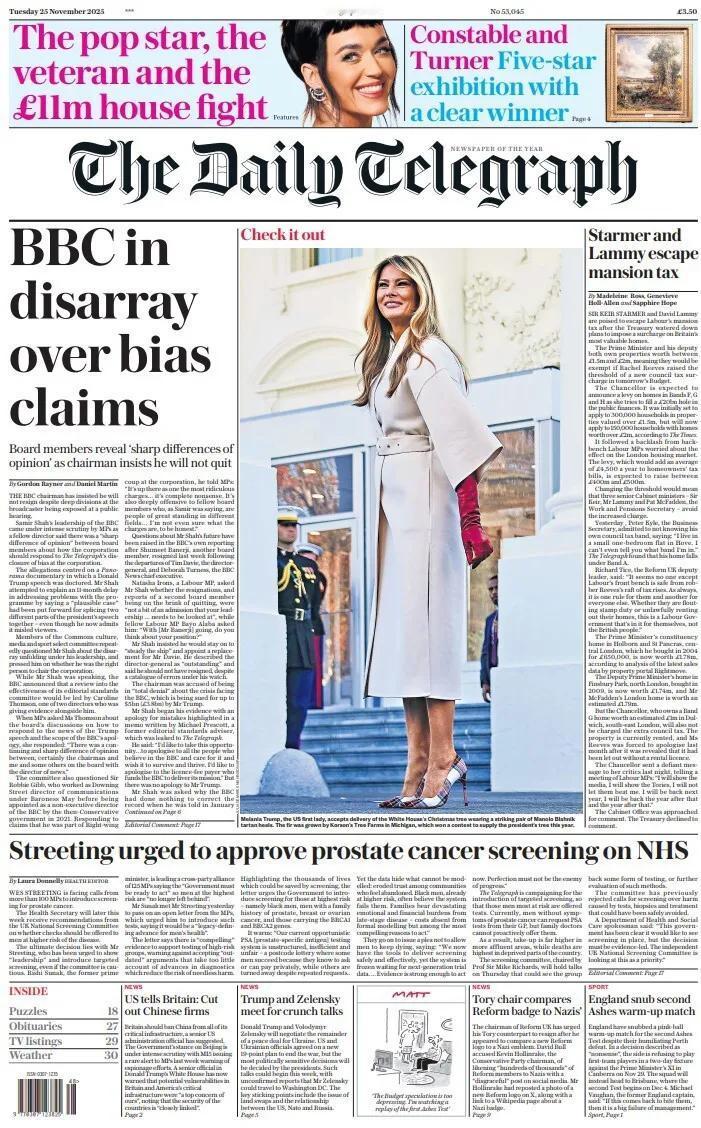 美国第一夫人喜欢“恨天高”样式的高跟鞋。《每日电讯报》写道，美国第一夫人梅拉妮