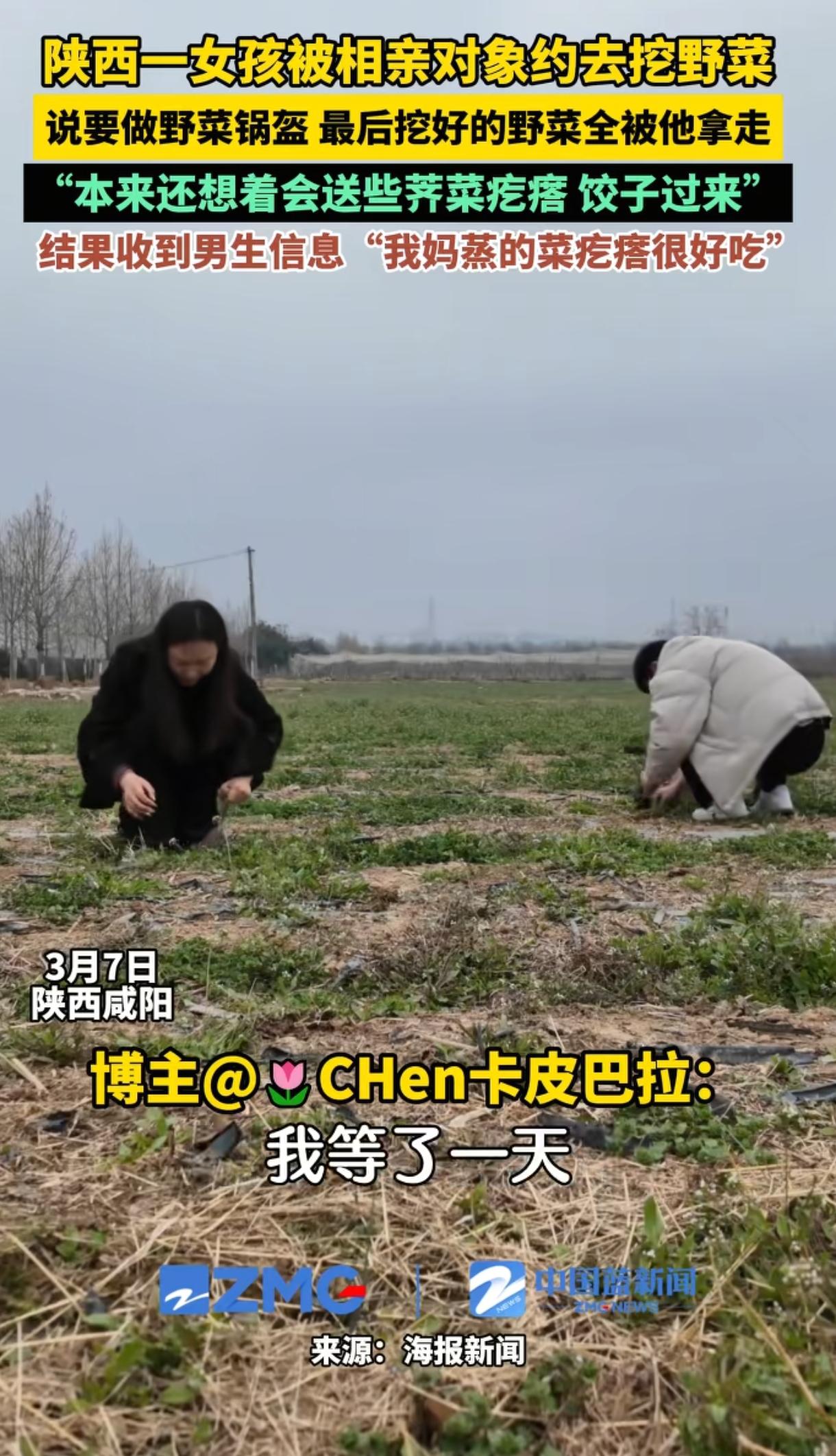 陕西，一女孩被相亲对象约去挖野菜，她觉得很新奇一口答应，两人便蹲地挖了一整天，挖