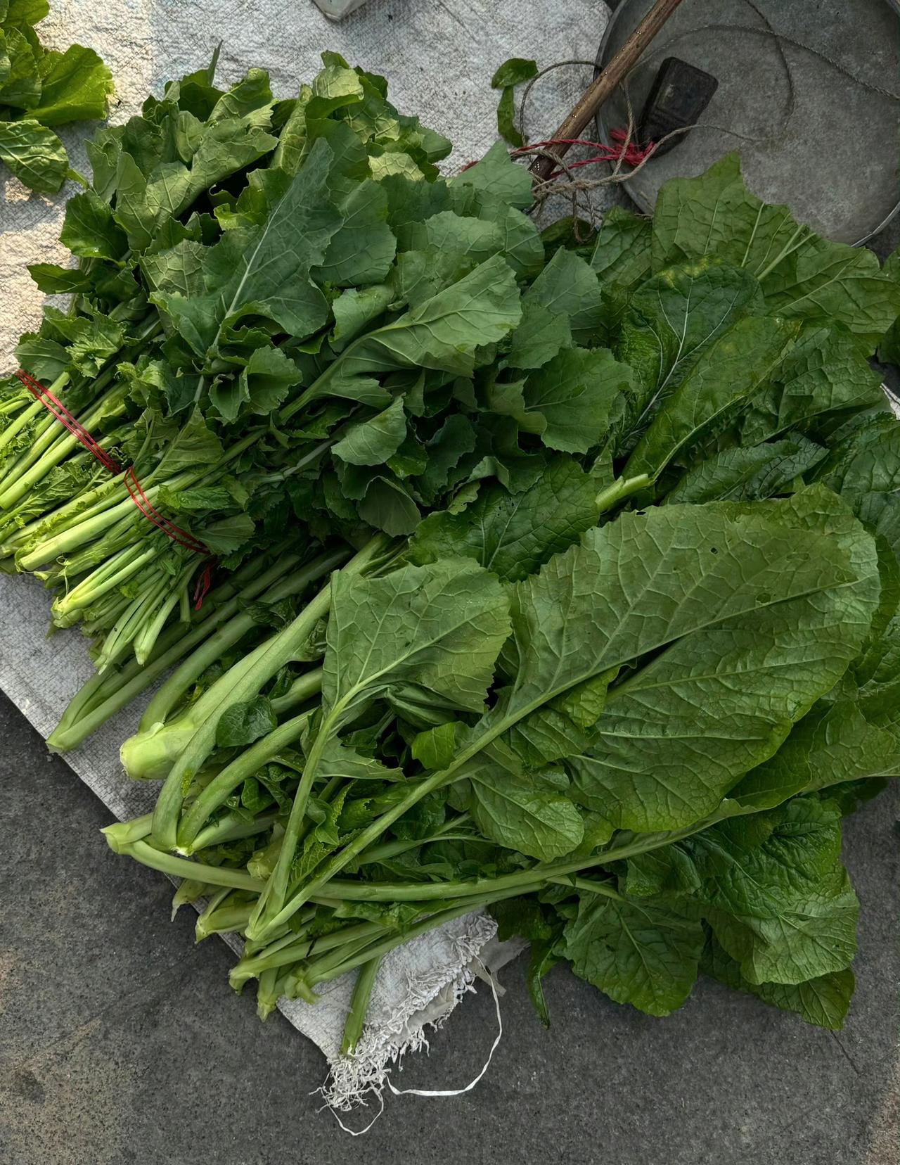 “在过一种有秩序感的生活”