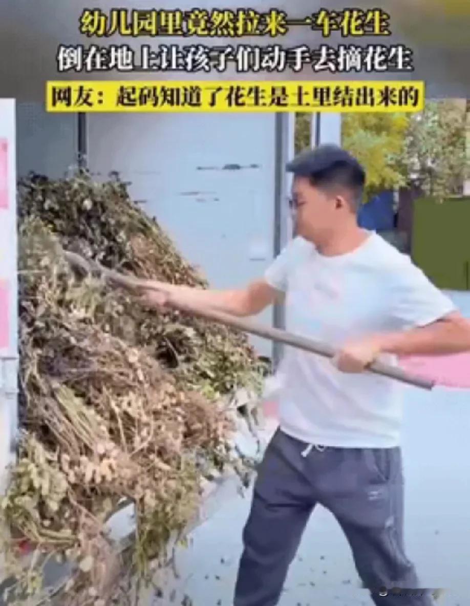 哪个幼儿园园长想的天才创意？拉一车没摘的花生，让幼儿园孩子干活，娃娃们体力有限，