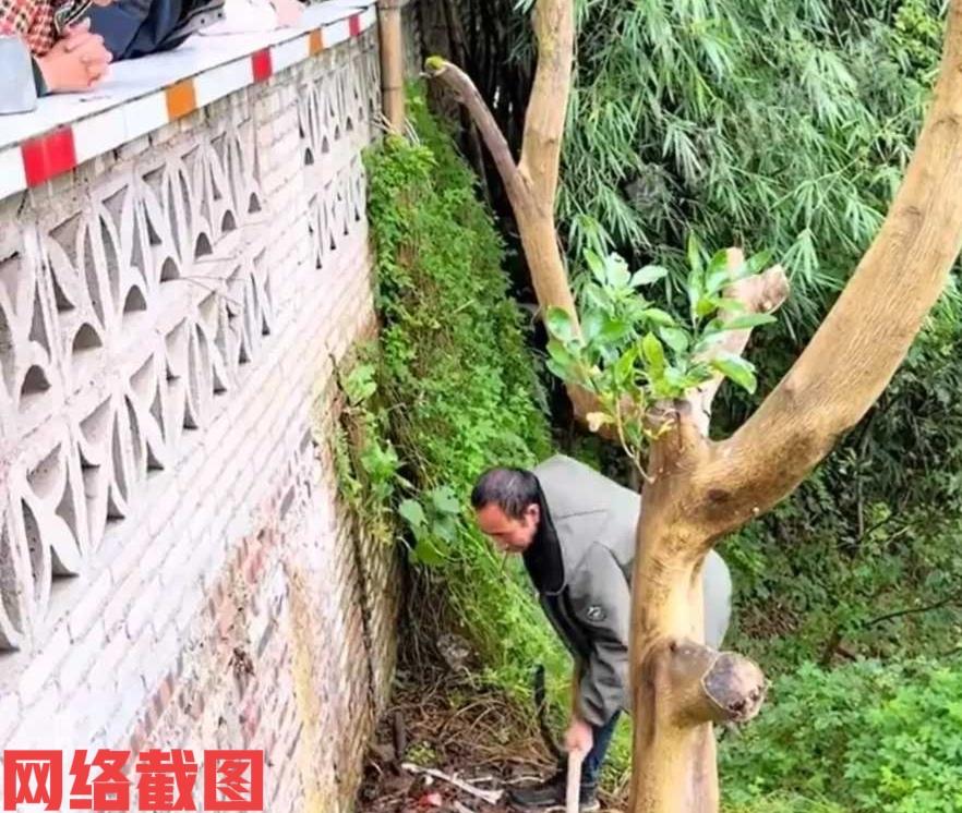 四川有家女儿要出嫁。此刻父亲突然说到要给她惊喜，于是带女儿来到一处地方，还带