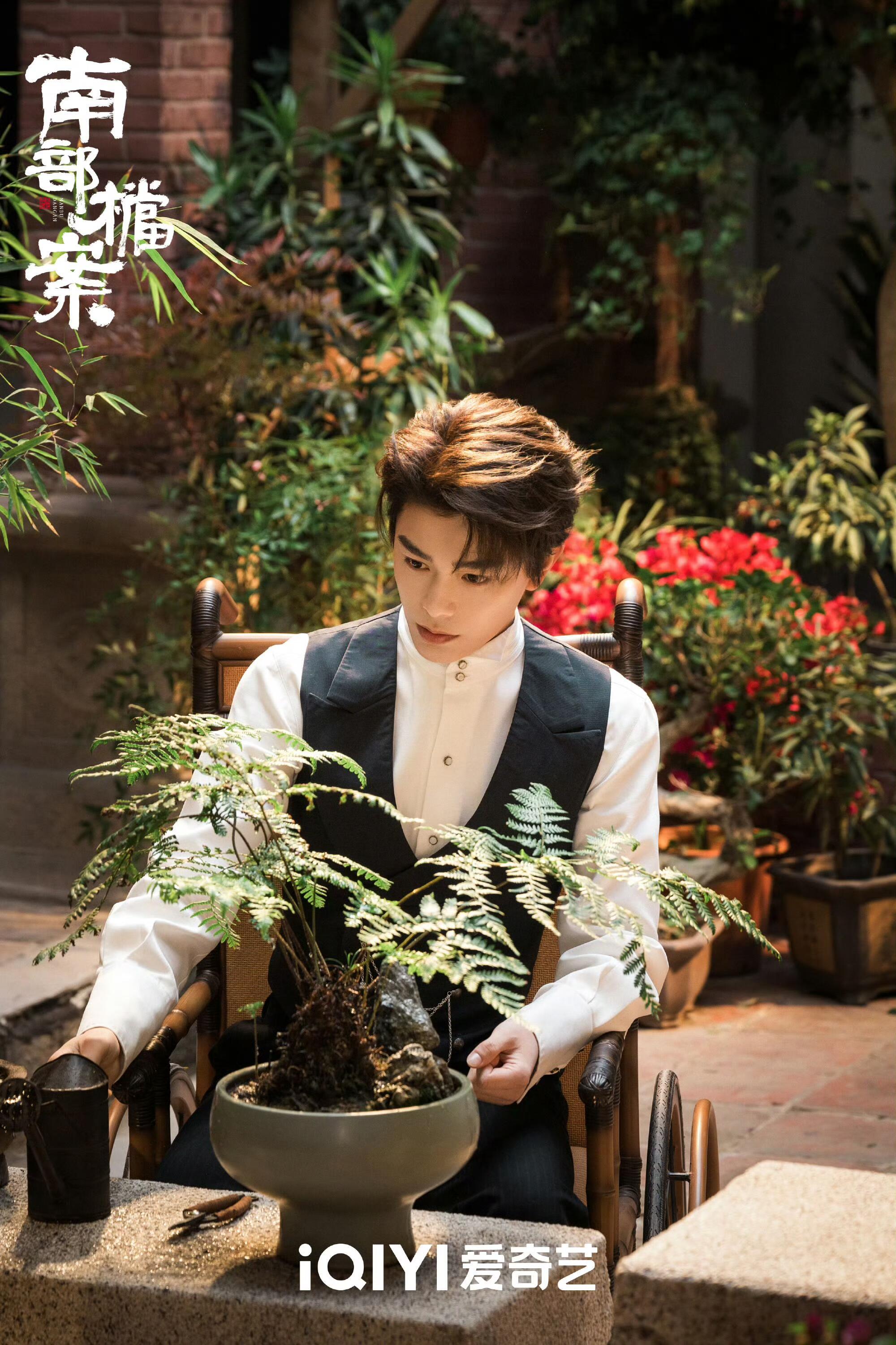丁禹兮南部档案过审了，节奏刚刚好，准备迎接张海虾吧。