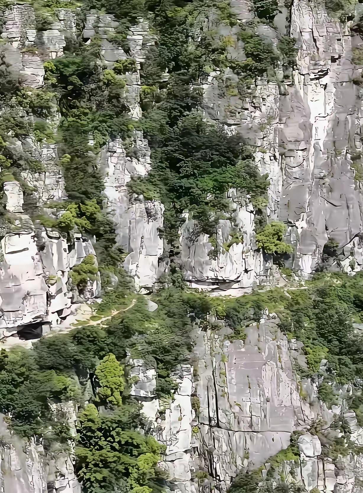 这就是程梦圆不幸坠崖的地方。一条天然形成的野径狭窄不堪，仅仅容得下双脚交替挪动