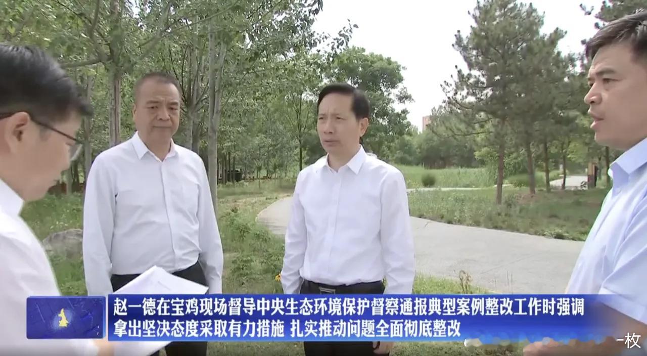 6月10日，两位省委书记现场督导典型案例整改工作。​​​