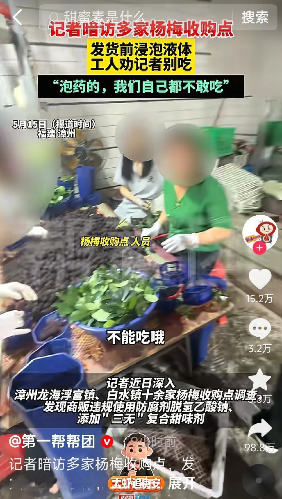 “不能吃哦，这是泡药的。”——漳州市龙海区一位杨梅收购点的员工一边熟练地分拣着杨