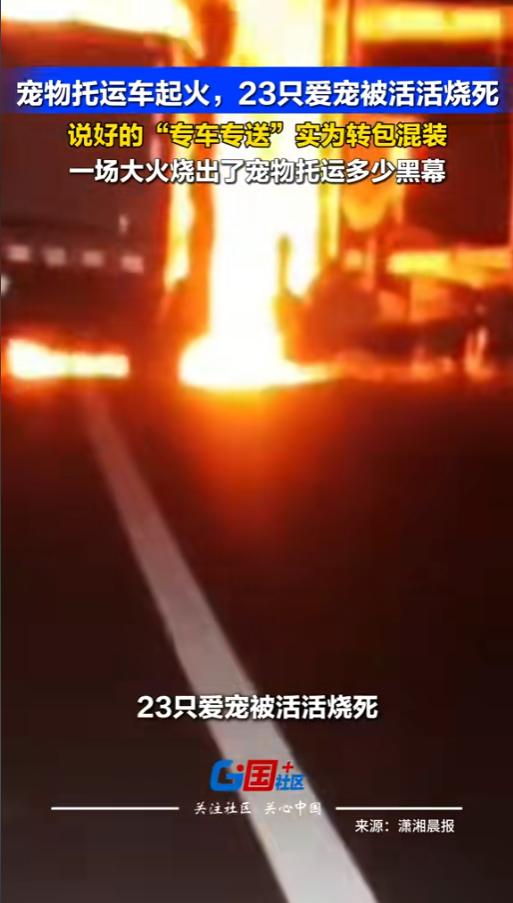 “这和诈骗有什么区别？”6月21日报道，沈海高速江苏连云港段，一辆宠物车发生事故