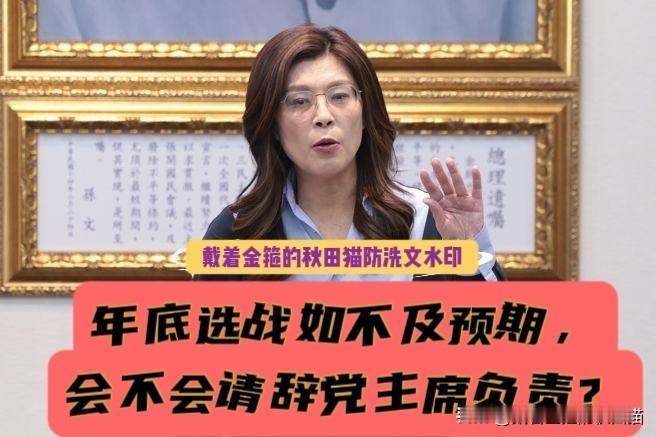 郑丽文被问“年底选不好会不会请辞党主席”，她的回应很微妙，不过也坦言：两个县市选