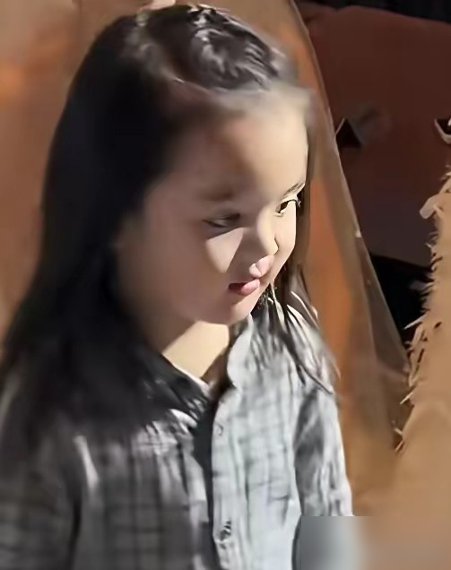 向笙在三亚被堵了，镜头怼脸上，评论区直接炸了。圆脸，宽额，那眉眼走向，活脱脱一个小向佐。网友翻出向华