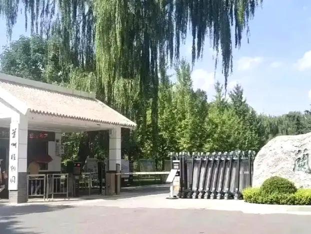 郁金香不见了，菊花展歇菜了，好怀念过去的兰州植物园。这两天，兰州植物园内的牡